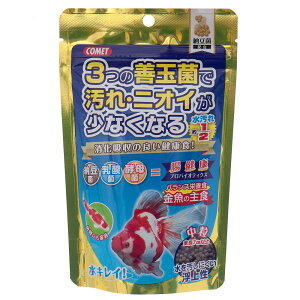 Rbg@̎H@[۔z@Pʋہ@@90g@̂@̉a@֓