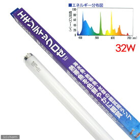楽天市場 蛍光灯 水槽用 交換球の通販