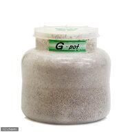 冷蔵★菌糸ビン　G−pot　スタウト　2000cc　1本　別途クール手数料　常温商品同梱不可