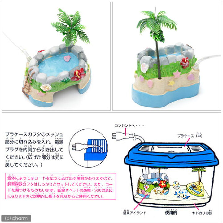 楽天市場 マルカン 温泉アイランド オカヤドカリ ハウス 関東当日便 Charm 楽天市場店