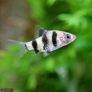 iMыjubNEr[iu[hji1Cj@kCEBq֗vۉ