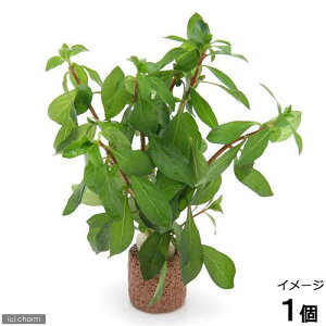 ijCt}`ijhEBWA@uryXitji_ji1j