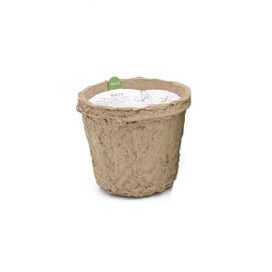 Konoko ペットグラス 犬と猫が好きな草 栽培セット 猫草 関東当日便