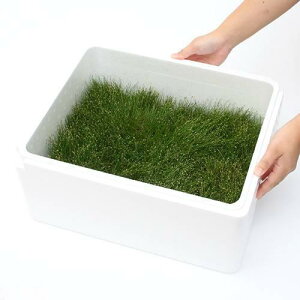 ijwA[OX@V[gitji_ji1P[Xj