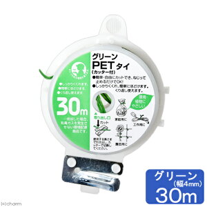 O[PET^CiepE΁jJb^[t@30m@֓