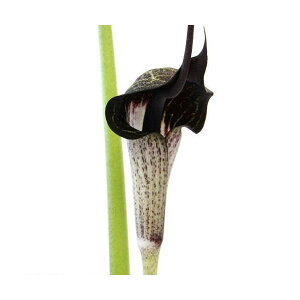 iR쑐jEV}\EiYj3i1|bgjixԁjixԁj