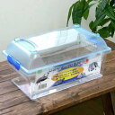 三晃商会　CLEAN　CASE　FLAT　クリーンケースフラット（L）（375×220×184mm）プラケース　虫かご飼育容器　関東当…