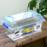 三晃商会　CLEAN　CASE　FLAT　クリーンケースフラット（L）（375×220×184mm）プラケース　虫かご飼育…
