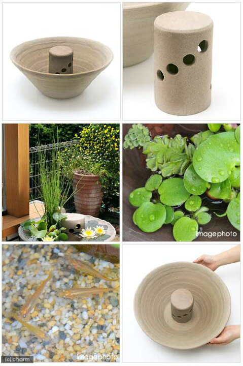 楽天市場 ビオトープ めだか 益子焼 彩 古信楽 焼締 隠れ家付セット 姫スイレン 黄 ヒメダカ 説明書付 本州四国限定 Charm 楽天市場店