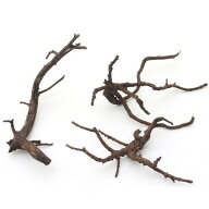 形状お任せ　煮込み済み　極上流木　Sサイズ（約10〜20cm）　3本　アクアリウム　レイアウト素材　流木　…