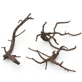形状お任せ　煮込み済み　極上流木　Sサイズ（約10〜20cm）　3本　アクアリウム　レイアウト素材　流木　関東当日便