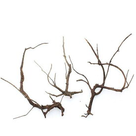 形状お任せ　煮込み済み　極上流木　Lサイズ（約30〜45cm）　3本　アクアリウム　レイアウト素材　流木　関東当日便