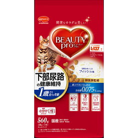 キャットフード　ビューティープロ　キャット　下部尿路の健康維持　1歳から　フィッシュ味　560g（80g×7袋）【HLS_DU】　関東当日便