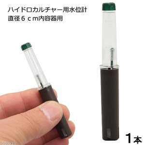 nChJ`[pʌv@a6cmep@֓