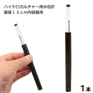 nChJ`[pʌv@a13cmep@֓