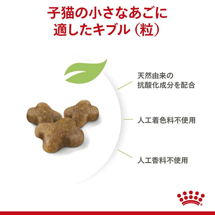 楽天市場】ロイヤルカナン 子猫 キトン 成長後期の子猫用 生後12ヵ月  