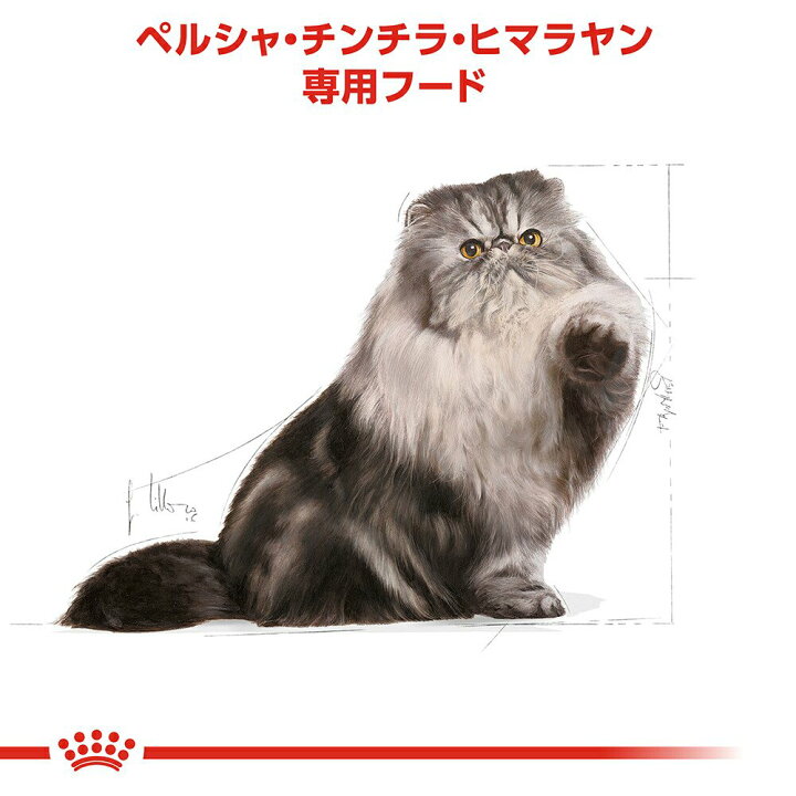 楽天市場 ロイヤルカナン 猫 ペルシャ チンチラ ヒマラヤン 成猫用 生後１２ヵ月齢から１２歳まで ２ｋｇ ジップ付 キャットフード ドライ 関東当日便 Charm 楽天市場店