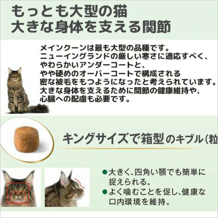 楽天市場】ロイヤルカナン 猫 メインクーン 成猫用 生後15ヵ月齢から12歳まで 2kg ジップ付(キャットフード ドライ) お一人様5点限り 関東当日便 : charm 楽天市場店 楽天市場】ロイヤルカナン 猫 メインクーン 成猫用 生後15ヵ月齢から12歳まで 2kg ジップ付(キャットフード ドライ) お一人様5点限り 関東当日便 : charm 楽天市場店