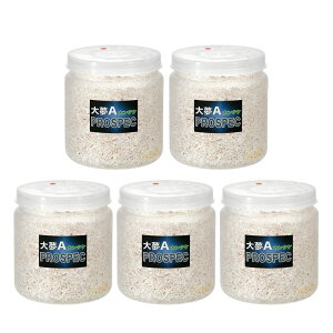 ێr@喲A@vXybN@iJ^Pj@NA[{g@1400cc@5{