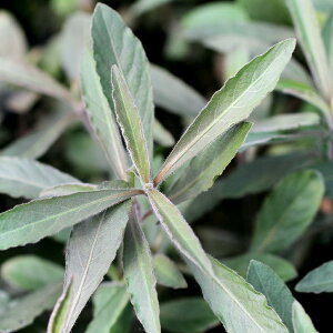 ijnCOtBspDpNZ[@IXYitji_ji5{j