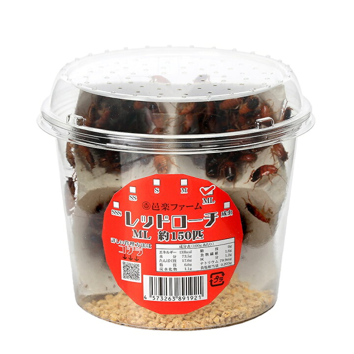 楽天市場 生餌 レッドローチ lサイズ 1カップ分 爬虫類 大型魚 餌 エサ 北海道 九州航空便要保温 Charm 楽天市場店 楽天市場 生餌 レッドローチ lサイズ 1カップ分 爬虫類 大型魚 餌 エサ 北海道 九州航空便要保温 Charm 楽天市場店