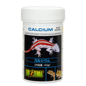GEX　エキゾテラ　カルシウム　40g　爬虫類　サプリメント　添加剤　ジェックス【HLS_DU】　関東当日便