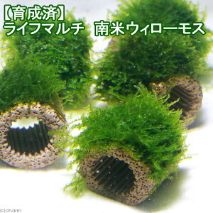 ij琬ρ@Ct}`ijăEB[Xitji_ji3j