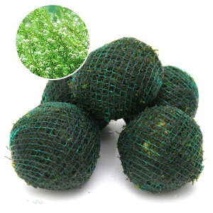 ijā@ouX@{[itji_ji3j