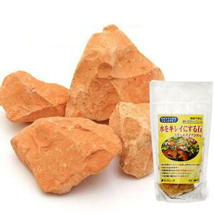 LCɂ@[ICg̐΁@N`^Cv@200g@֓