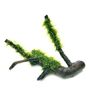 ij琬ρ@ăEB[X@}󗬖؁@STCYi10cmjitji_ji1{j