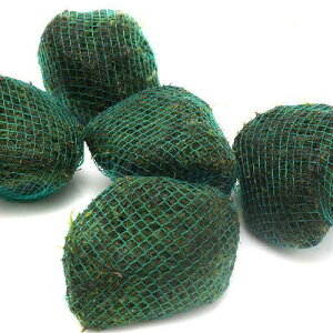 ijā@܂X@n΃{[itji_ji3j