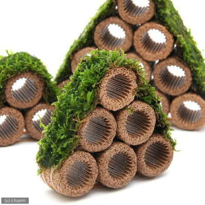 ijā@Ct}`ijăEB[XRe[Wijitji_ji1j