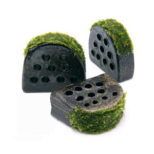 ijā@tGȑwZ@ăEB[Xtitji_ji1j