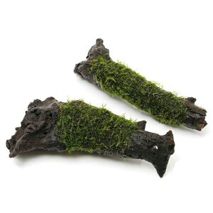 ijā@ouX@؁@STCYi15cmjitji_ji1{j