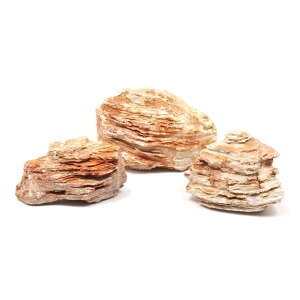 `󂨔C@Z΁@STCYi8`13cmj@3@ANAE@CAEgfށ@֓