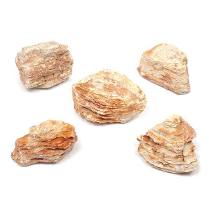 `󂨔C@Z΁@STCYi8`13cmj@5@ANAE@CAEgfށ@֓