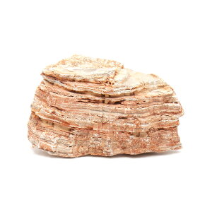 `󂨔C@Z΁@MTCYi13`18cmj@1@ANAE@CAEgfށ@֓