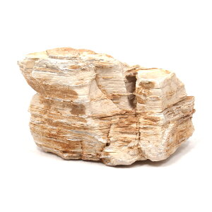 `󂨔C@Z΁@LTCYi18`23cmj@1@ANAE@CAEgfށ@֓