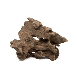 `󂨔C@ύݍς݁@njJEbh@SSTCYi10`15cmj@1{@ANAE@CAEgfށ@؁@֓