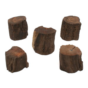 `󂨔C@ύݍς݁@؂芔htgEbh@MTCYi7`9cmj@Normal^Cvi5`10cmj@5{@֓