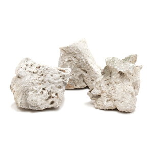 `󂨔C@΁@SSTCYi5`8cmj@3@ANAE@CAEgfށ@֓