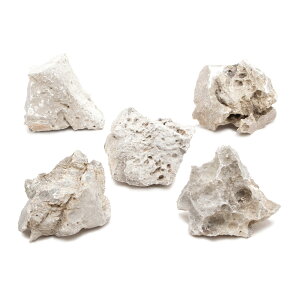 形状お任せ 白風石 SSサイズ(約5〜8cm) 5個 アクアリウム レイアウト素材 関東当日便