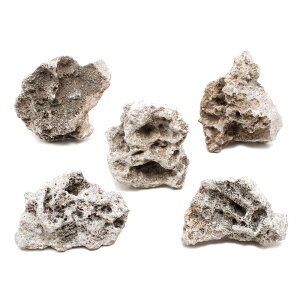 形状お任せ 暗月石 Sサイズ(約8〜13cm) 5個 アクアリウム レイアウト素材 関東当日便