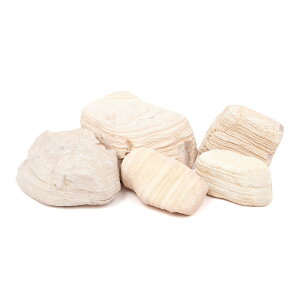 `󂨔C@Ww΁@TCY~bNX@3kg@30cm@ANAE@CAEgfށ@֓