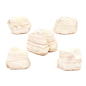 形状お任せ 淡層石 Sサイズ(約8〜13cm) 5個 アクアリウム レイアウト素材 関東当日便