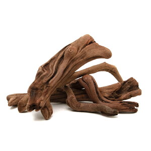 `󂨔C@ύݍς݁@傢@㎿؁@@STCYi15`20cmj@5{Zbg@CAEgfށ@؁@֓