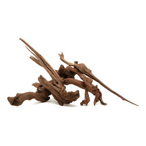 形状お任せ 煮込み済み ちょい足し 上質流木 雅 Lサイズ(約30〜40cm) 5本セット レイアウト素材 流木 関東当日便