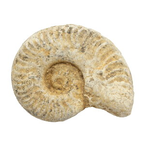 `󂨔C@CMXY@AiCg@1@WI@΁@֓