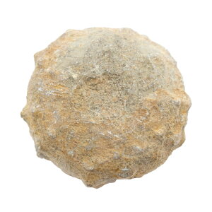 `󂨔C@bRY@Ej̉΁@M@1@I@΁@֓