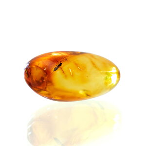 `󂨔C@ogCY@RnN@S@1@nV@Ao[@΁@֓